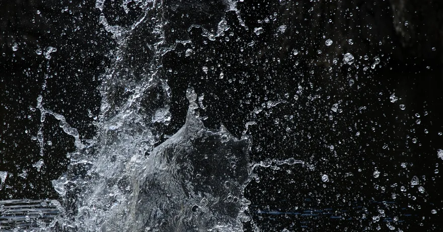 The Moment Before the River Forgets